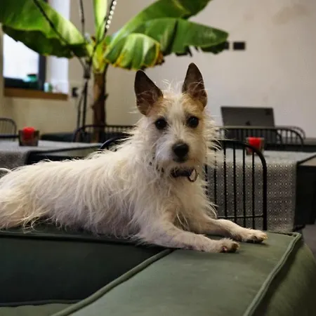 Central Lodge Hotel 3* Řím