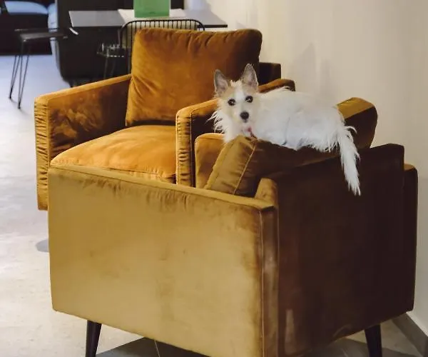 Central Lodge Hotel 3*