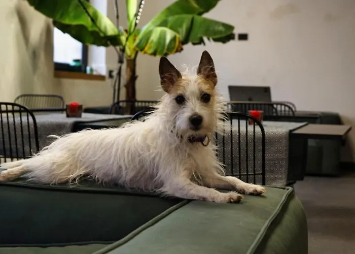 Central Lodge Hotel 3* Rzym