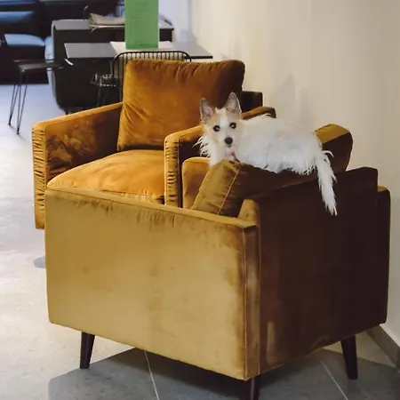 Central Lodge Hotel 3*